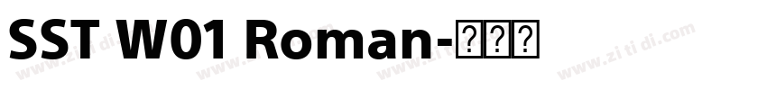 SST W01 Roman字体转换